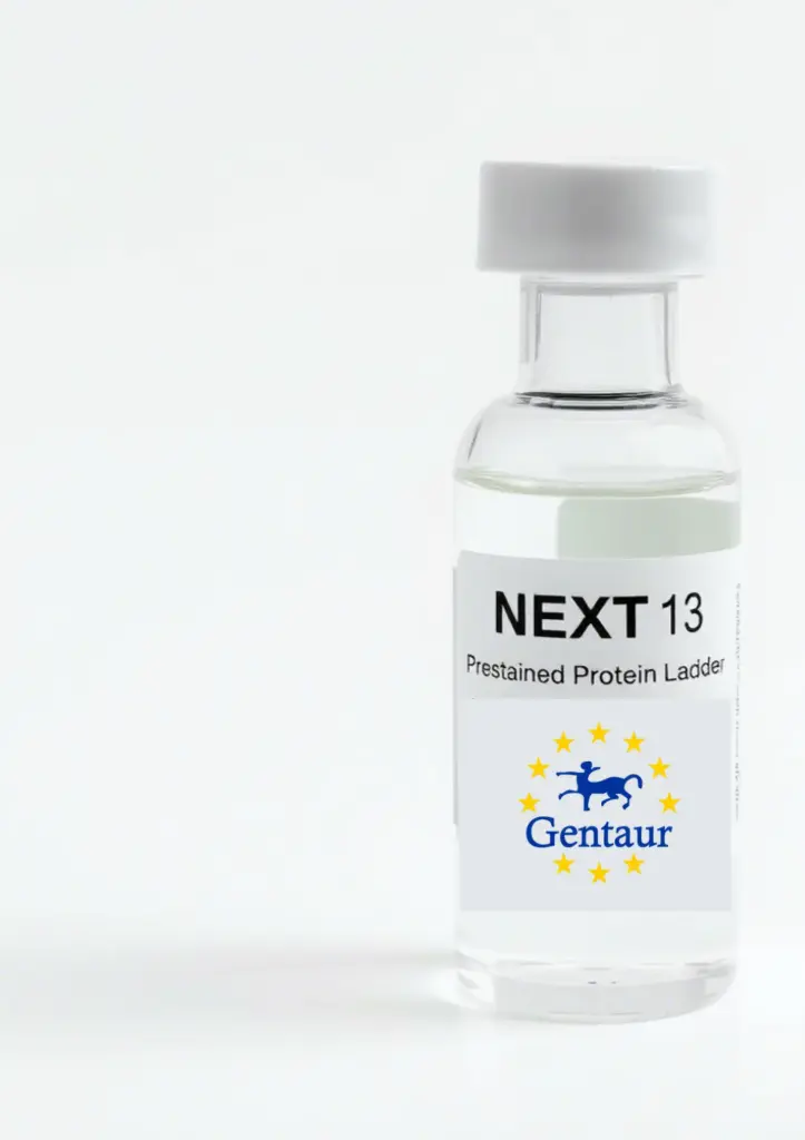 [M0060-B500] NEXT 13 Prestained Protein Ladder 