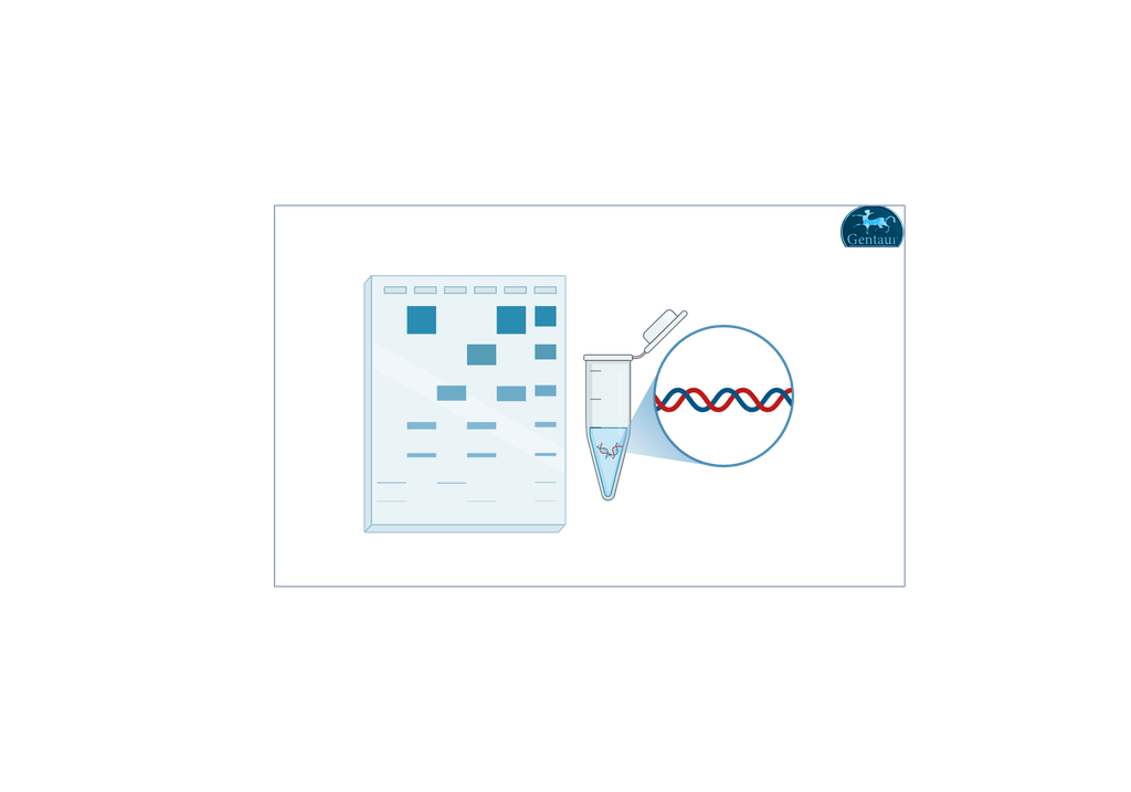 [MBT090-​200LN] High Range DNA Ladder