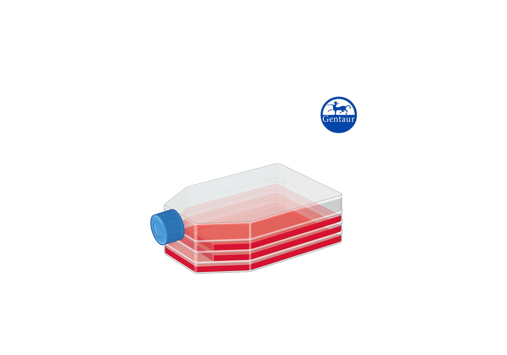 [APR-​B] AmnioPrime - amniotic cells and chorionic villi cells culture medium