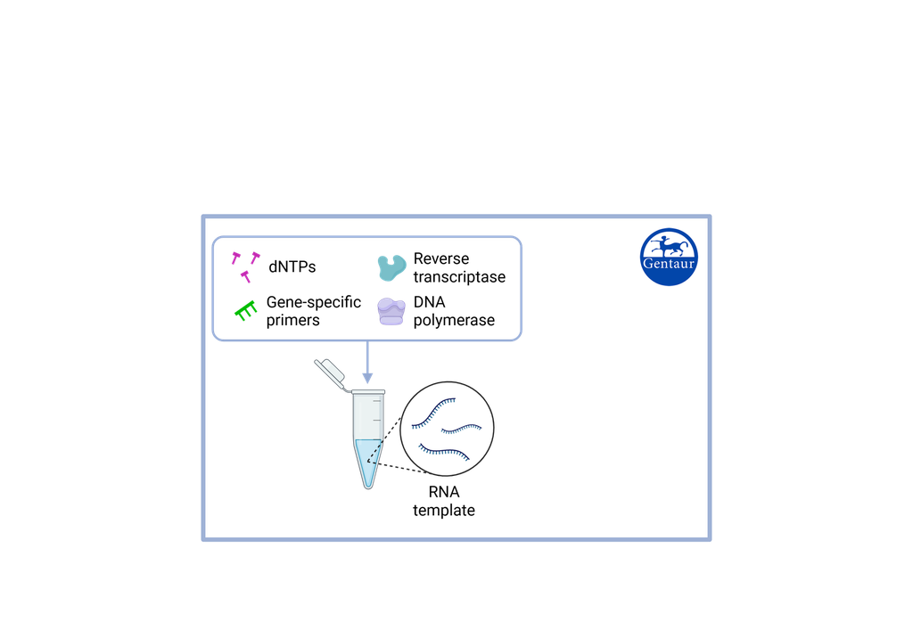 [MBT078-​1ML] ​dNTP  - dATP, dCTP, dGTP и dTTP solutions